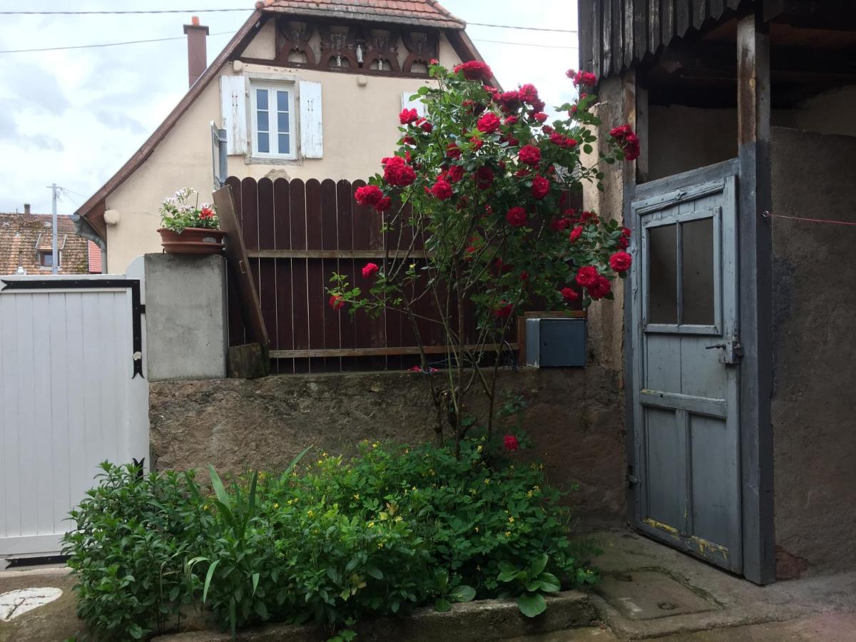 appartement spacieux dans joli village alsacien Châtenois Extérieur photo