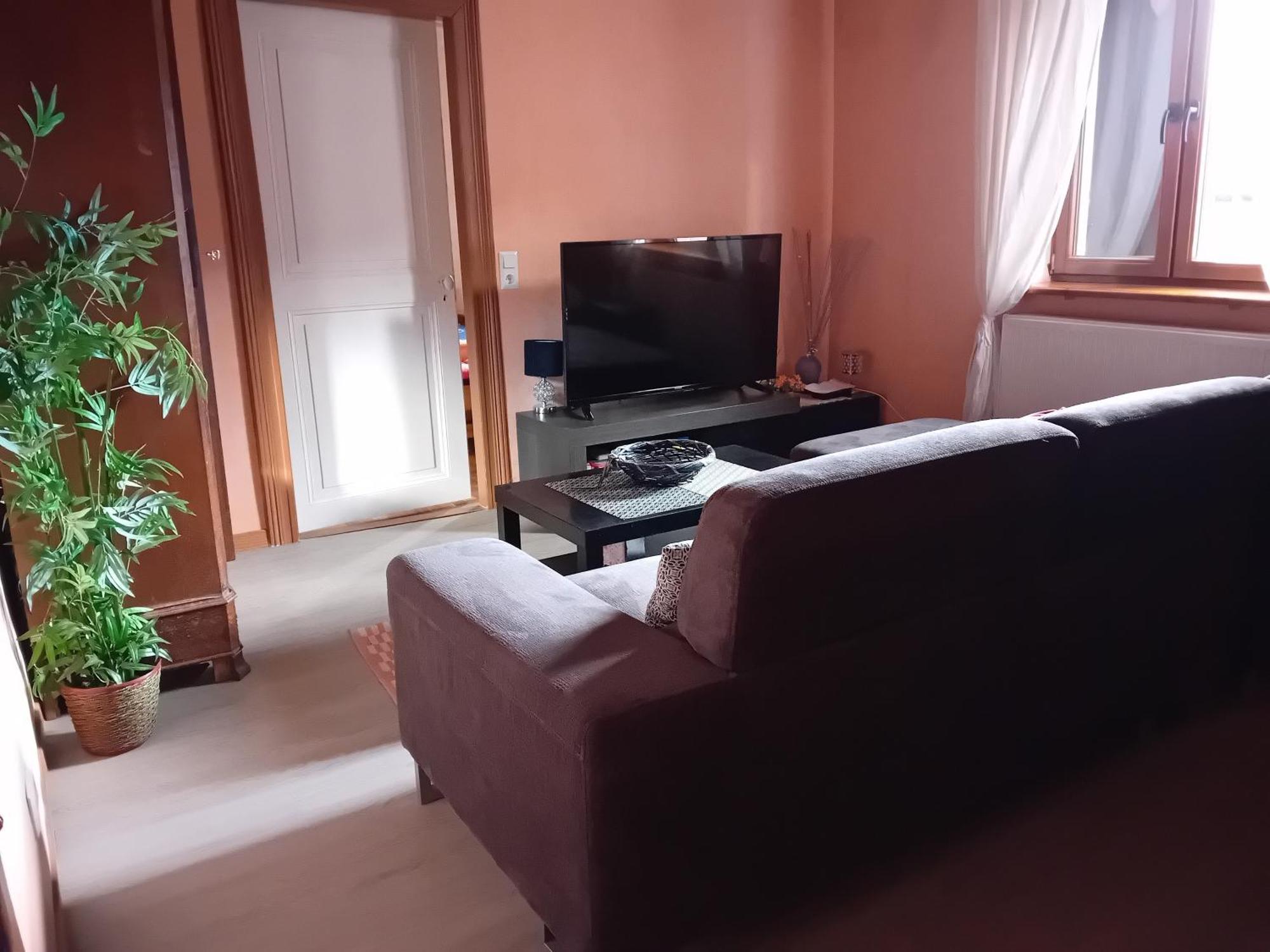appartement spacieux dans joli village alsacien Châtenois Extérieur photo