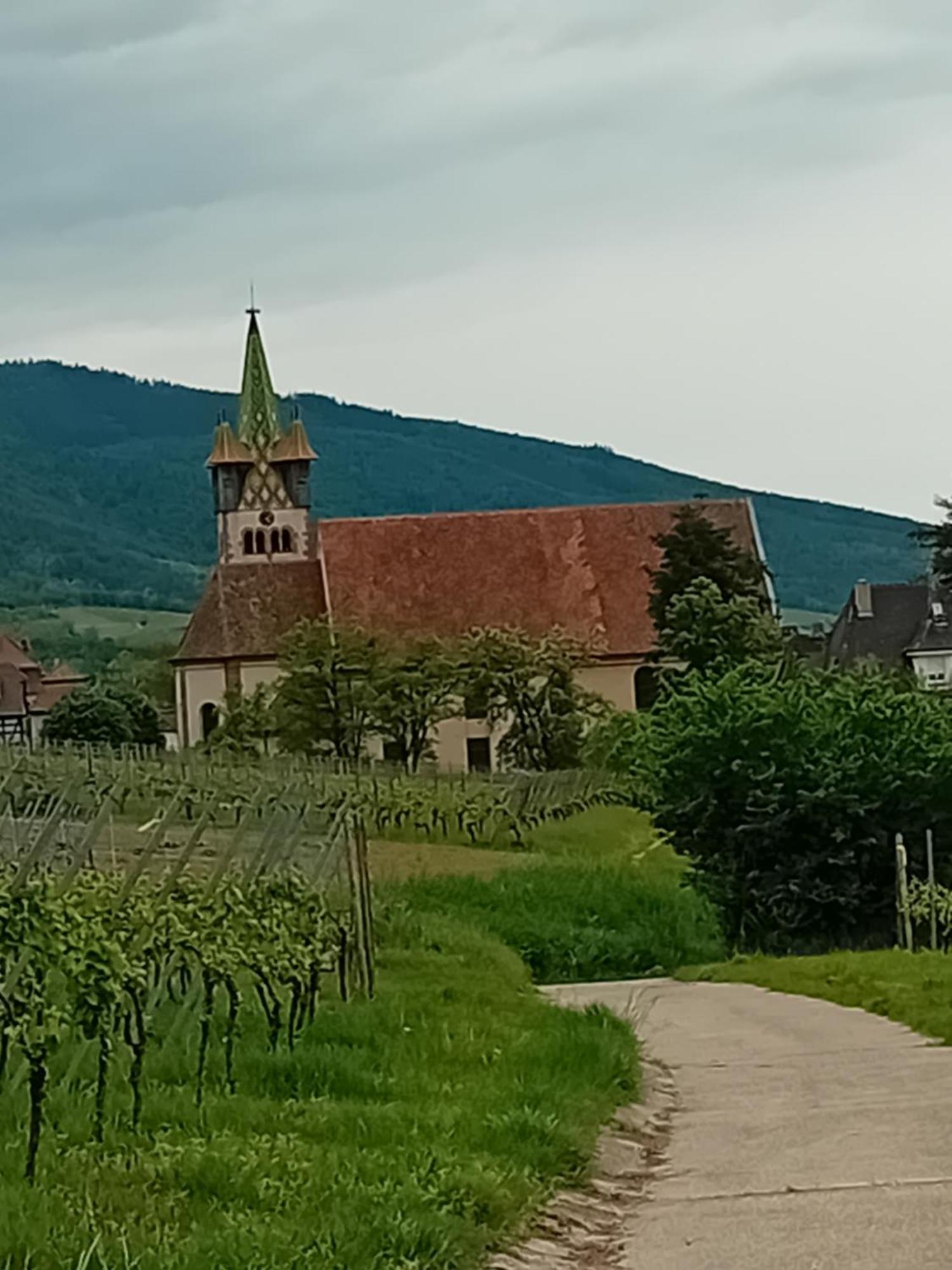 appartement spacieux dans joli village alsacien Châtenois Extérieur photo