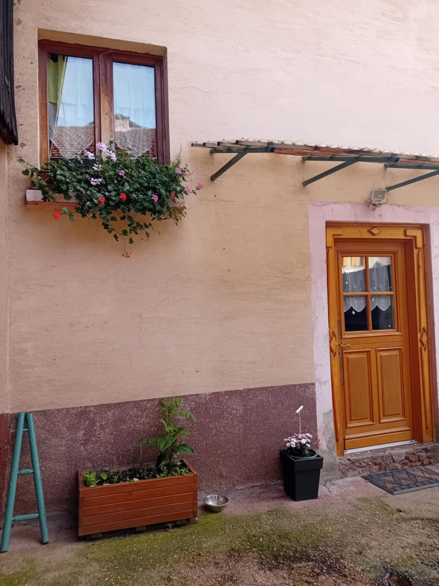 appartement spacieux dans joli village alsacien Châtenois Extérieur photo