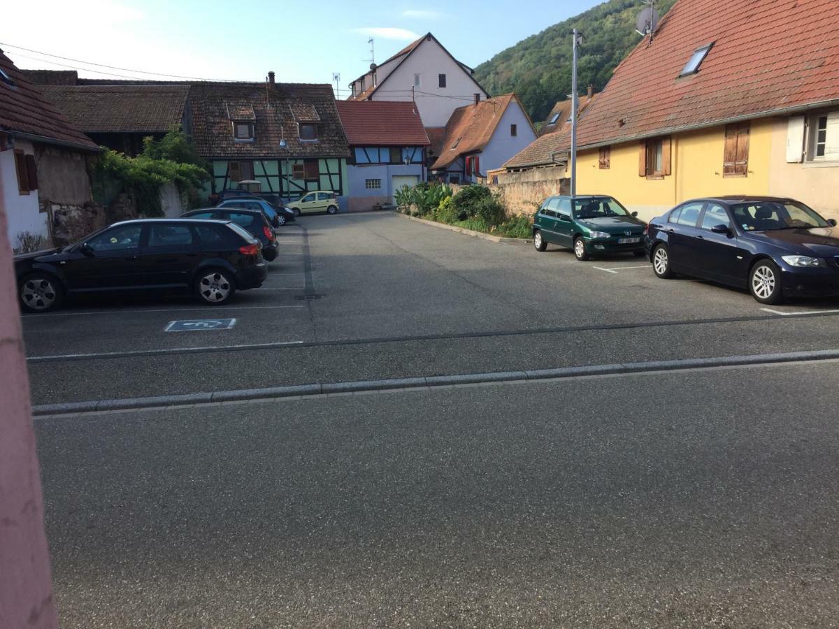 appartement spacieux dans joli village alsacien Châtenois Extérieur photo